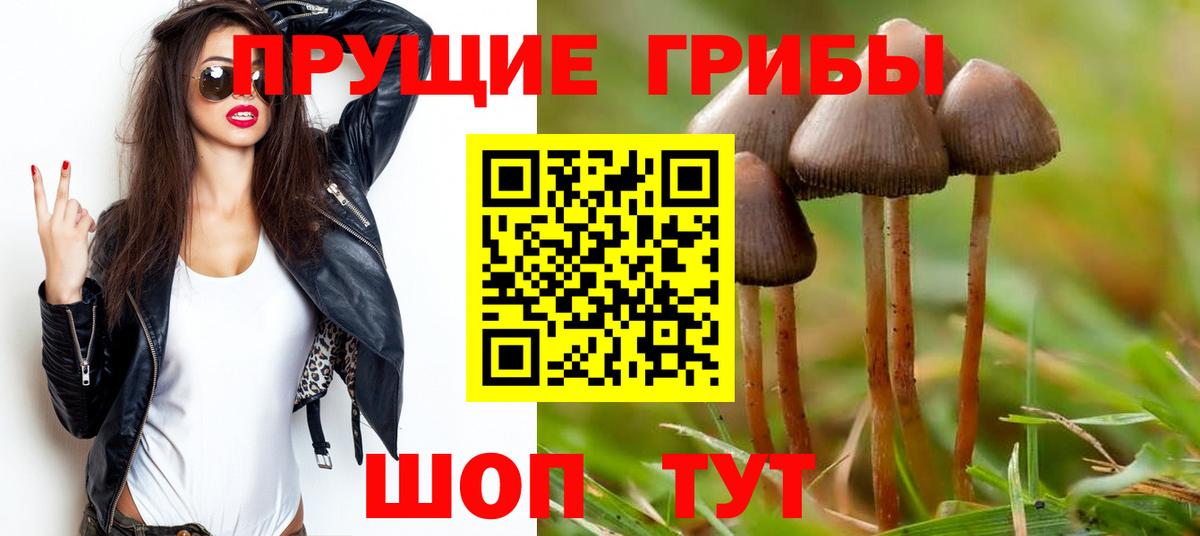 Галлюциногенные грибы прущие грибы  Вход с VPN  Донской 
